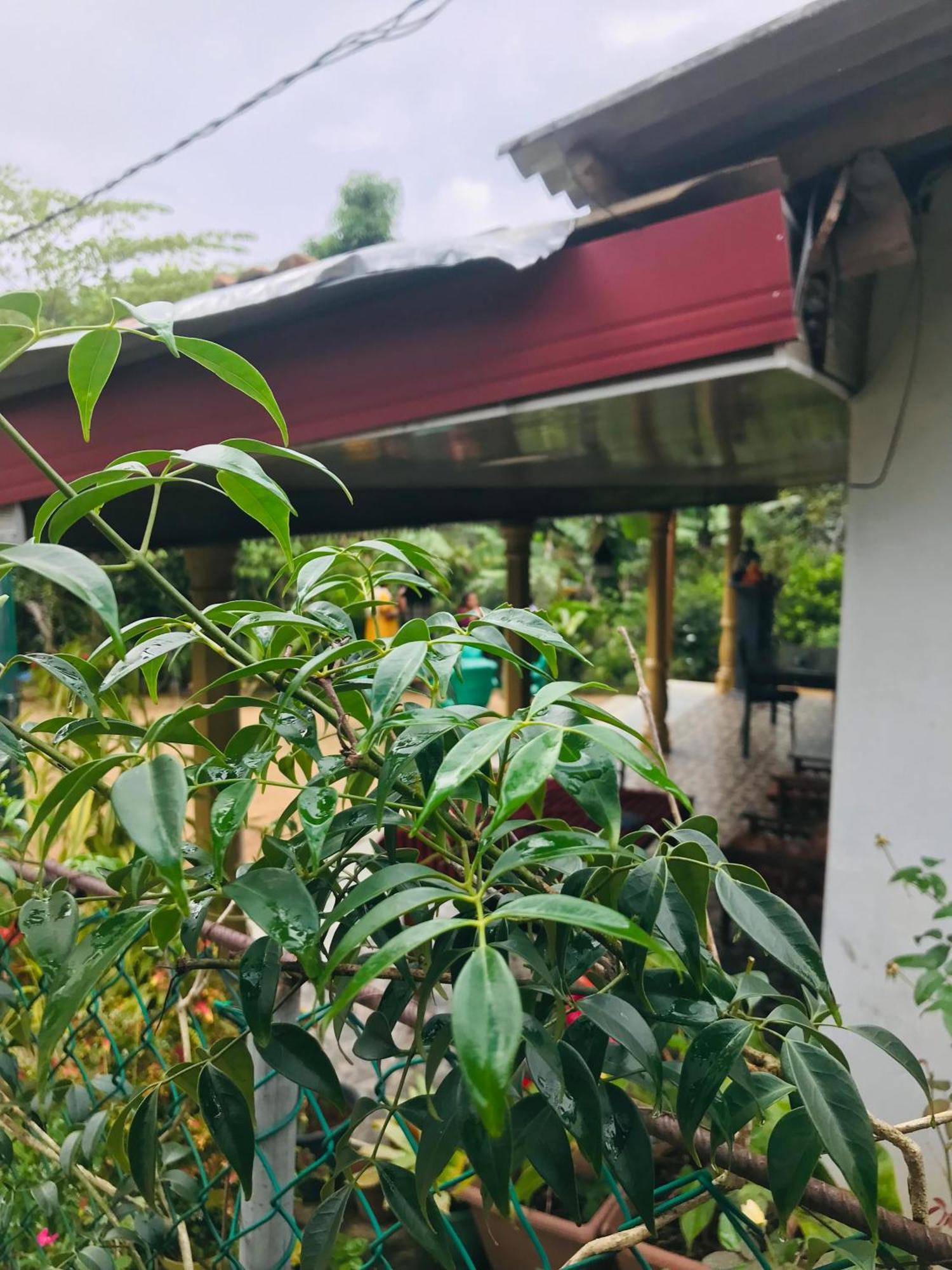 Cinnamon Homestay Ella Exterior foto