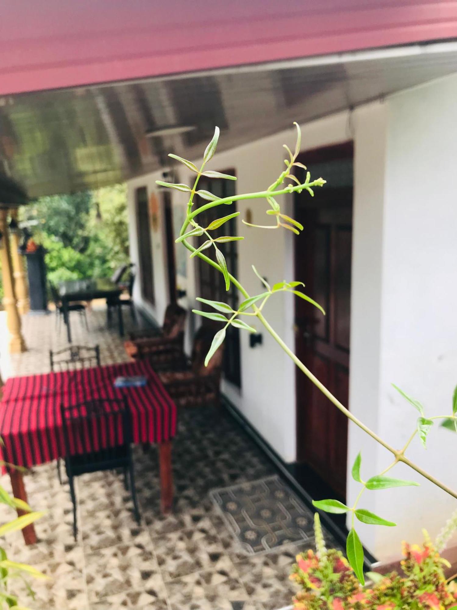 Cinnamon Homestay Ella Exterior foto