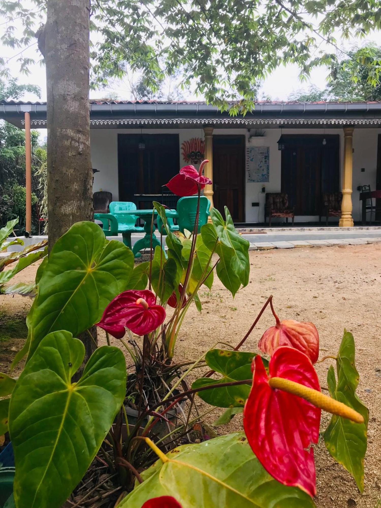 Cinnamon Homestay Ella Exterior foto