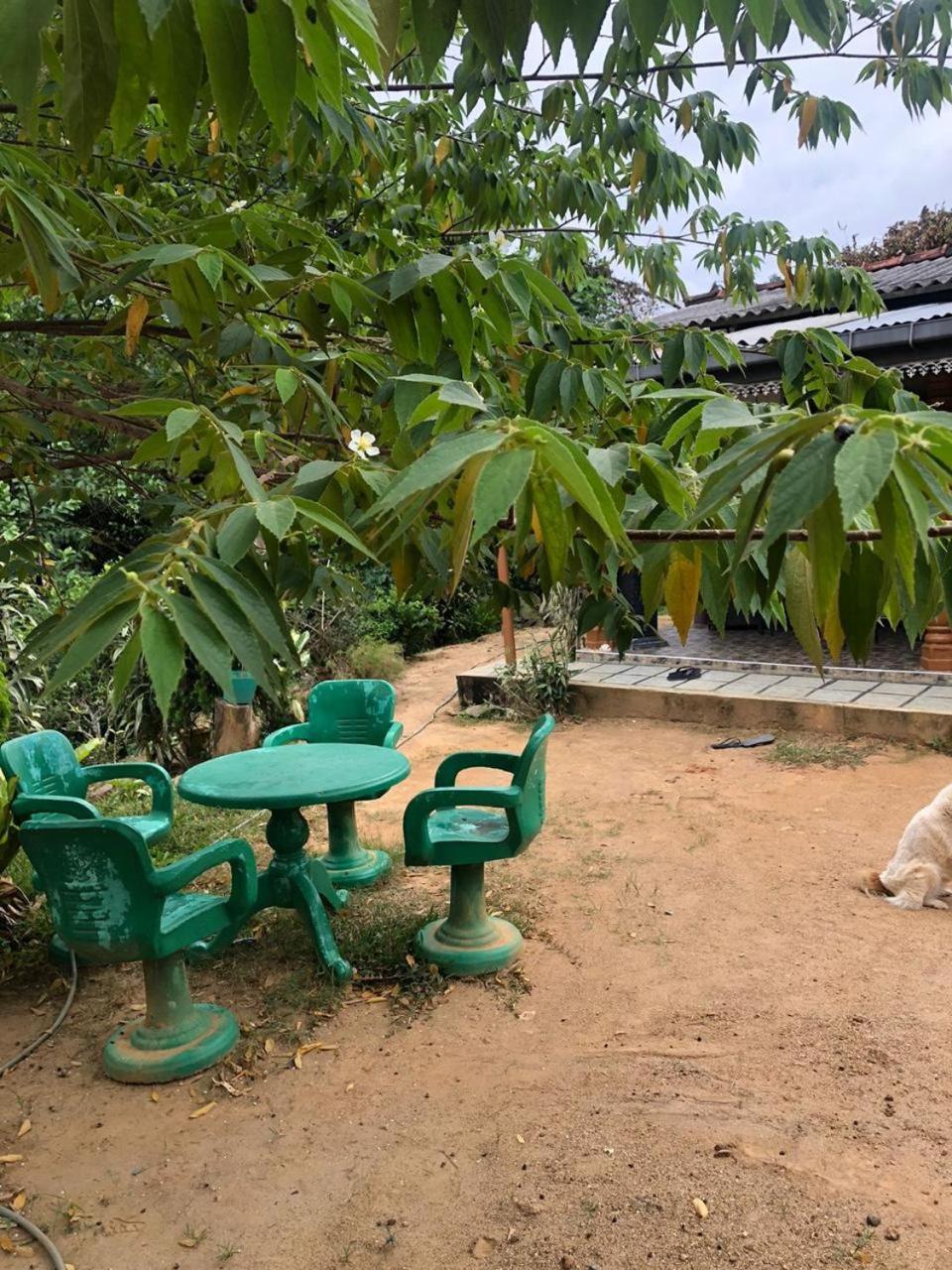 Cinnamon Homestay Ella Exterior foto
