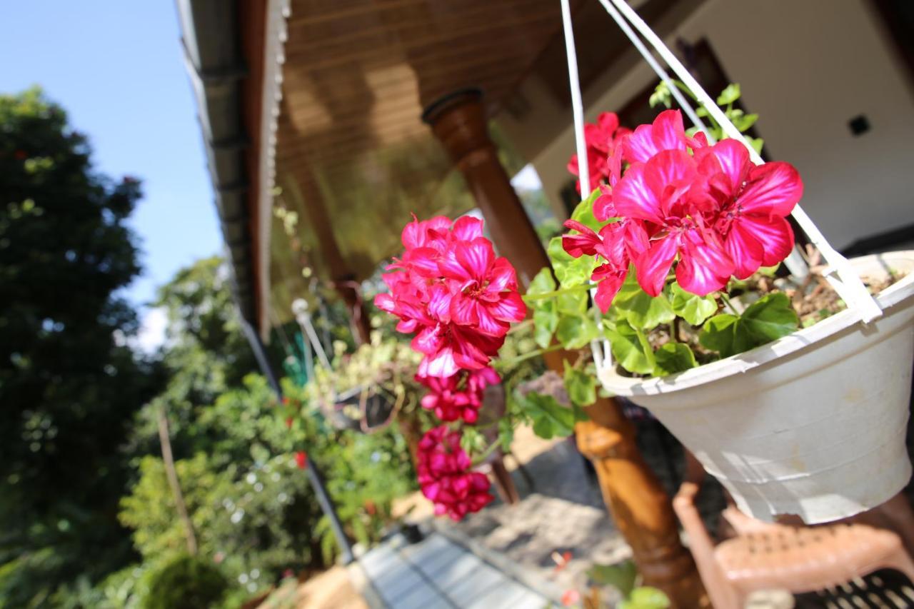 Cinnamon Homestay Ella Exterior foto